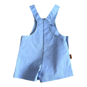 Boys Blue dungarees